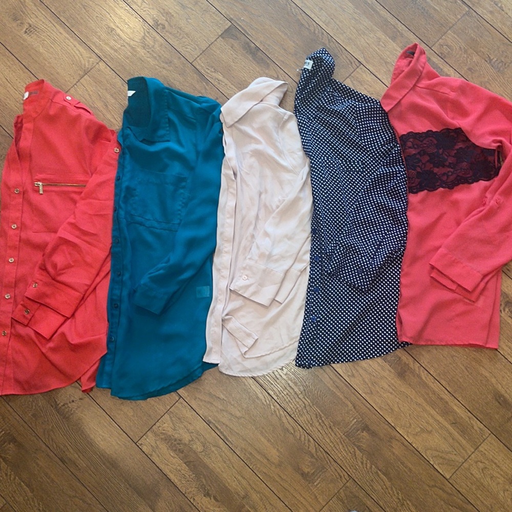 Lightweight/Sheer Professional Button Down Blouse Lot #5